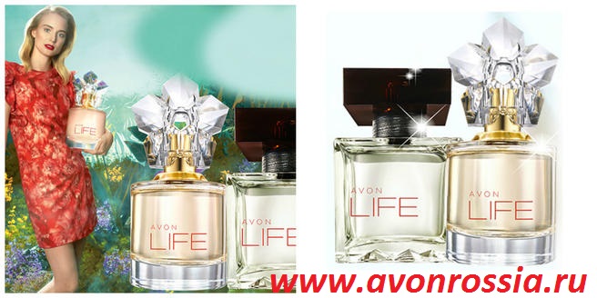 /pics/avon_avonrossia_reg_48.jpg /pics/avon_avonrossia_reg_48.jpg