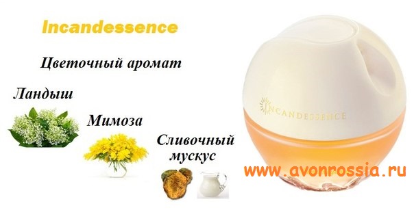 /pics/avon_incandessence-1.jpg /pics/avon_incandessence-1.jpg