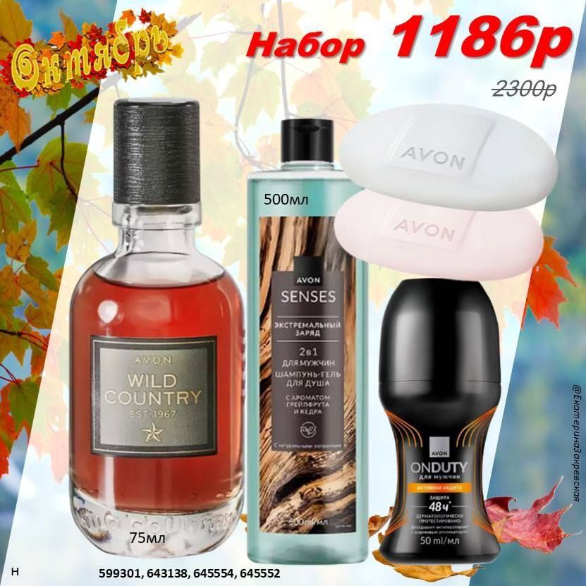 /pics/1_gotovie_nabori_avon_so_skidkoy_katalog-oktaybr_2025_14.jpg